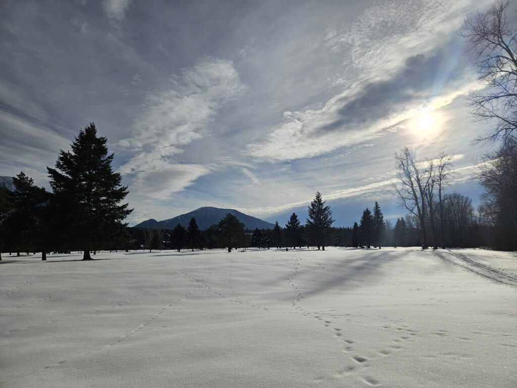 Stylized metallic letters forming 'GM RV' with a 3D effect.